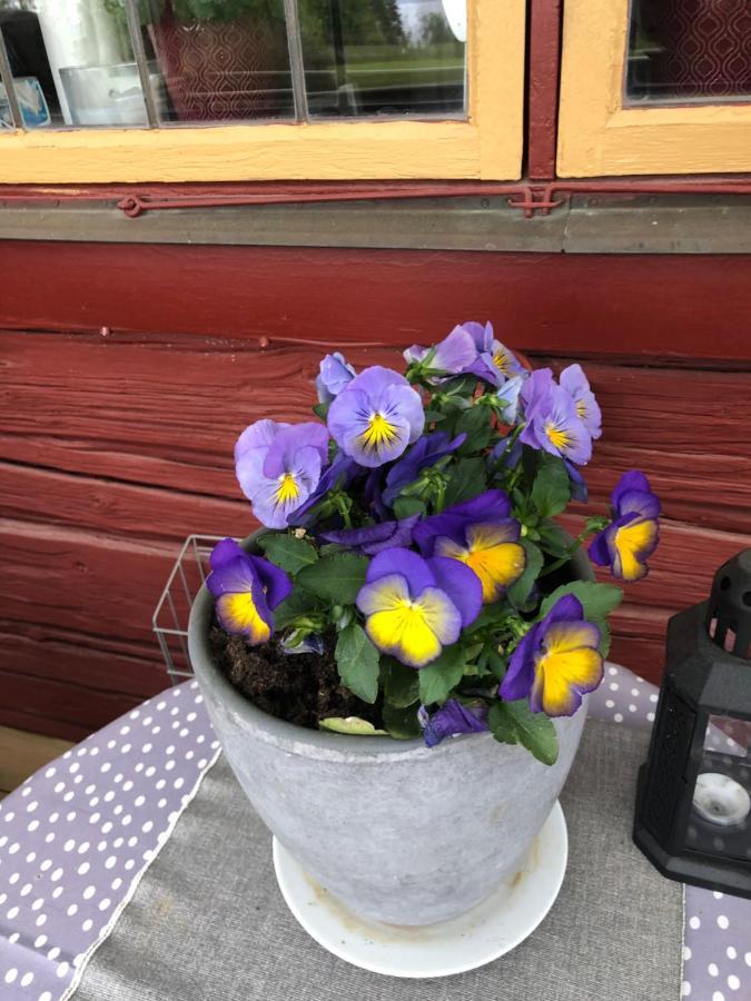Mysigt Boende I Raettvik Med Utsikt Oever Siljan Extérieur photo