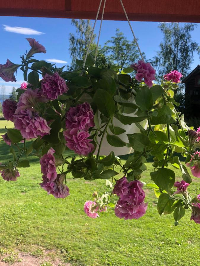 Mysigt Boende I Raettvik Med Utsikt Oever Siljan Extérieur photo