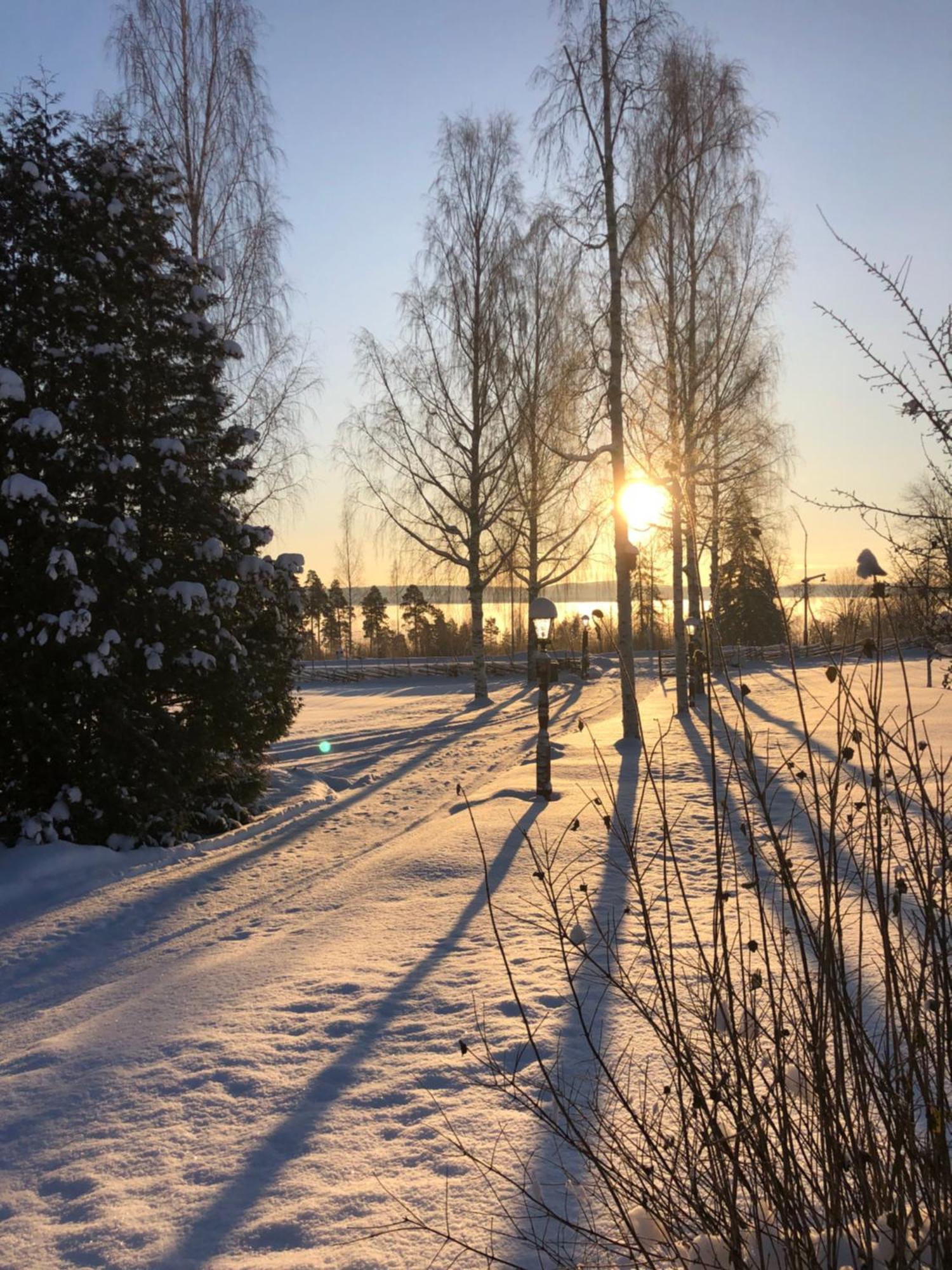 Mysigt Boende I Raettvik Med Utsikt Oever Siljan Extérieur photo