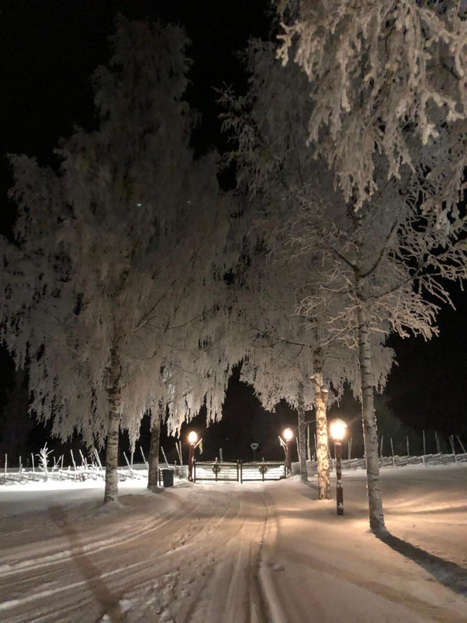 Mysigt Boende I Raettvik Med Utsikt Oever Siljan Extérieur photo