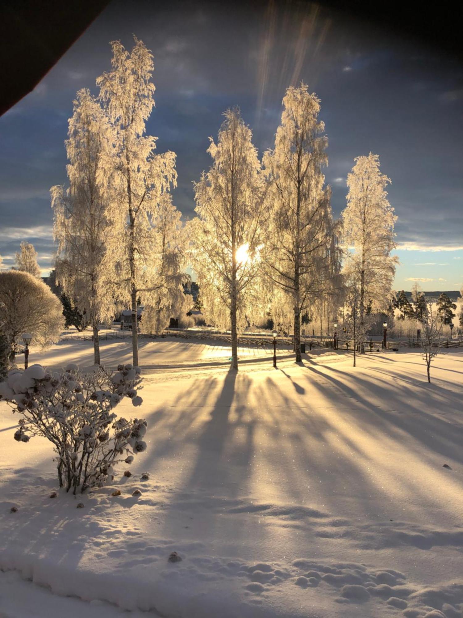 Mysigt Boende I Raettvik Med Utsikt Oever Siljan Extérieur photo