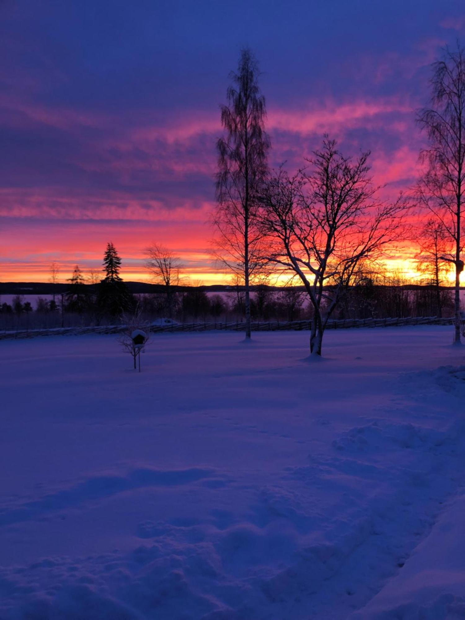 Mysigt Boende I Raettvik Med Utsikt Oever Siljan Extérieur photo