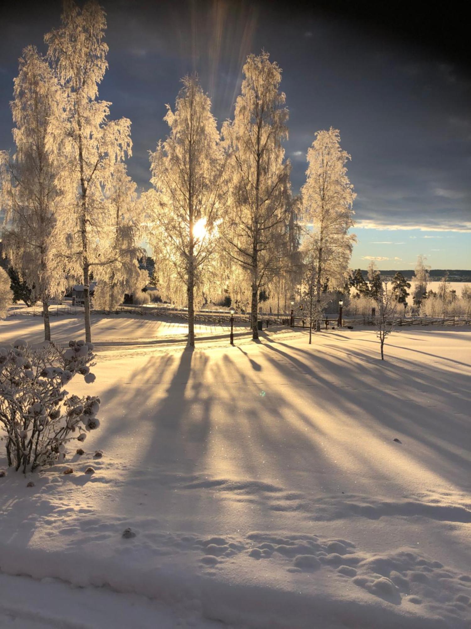 Mysigt Boende I Raettvik Med Utsikt Oever Siljan Extérieur photo