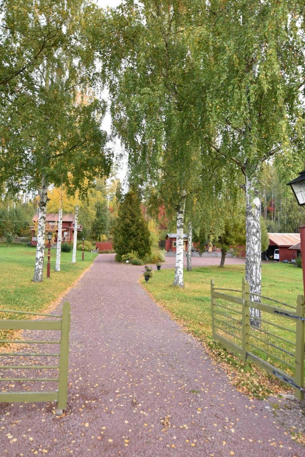 Mysigt Boende I Raettvik Med Utsikt Oever Siljan Extérieur photo